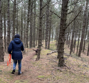 Hundeausflug im Wald - Hundetrainerin Dithmarschen