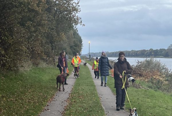 Gruppenstunde Hundeschule- "Alltagshelden"